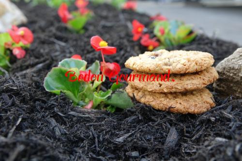 Biscuits à l'avoine et aux graines de tournesol de Bedon Gourmand | Photo de Bedon gourmand