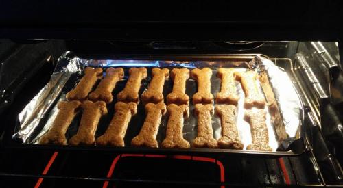 Biscuits au beurre d'arachides pour chien