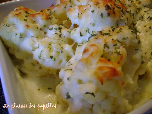 ~chou fleur au gratin~ de Choupy40 | Photo de Choupy40