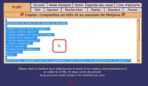 Comment copier-coller une recette dans votre document | Photo de Mireille