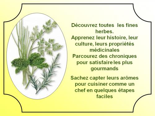 Fines herbes de Asdah | Photo de PassionRecettes