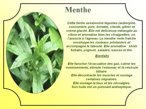 Fines herbes de Asdah | Photo de PassionRecettes