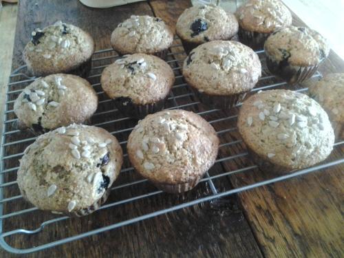 Muffin aux bleuets santé