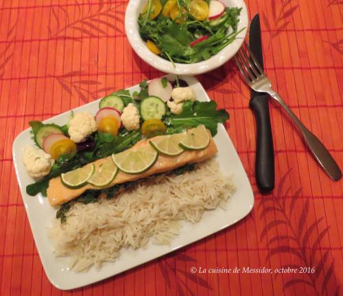 Pavés de saumon farcis au chou frisé + de Messidor | Photo de Messidor