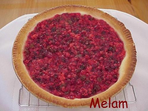 Tarte canneberges et raisins de Melam | Photo de Melam