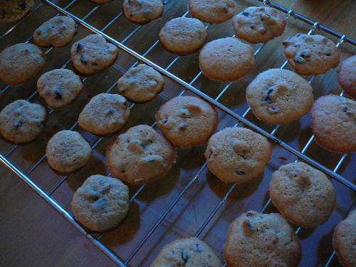 Biscuits ermites de Marilouise | Photo de Marilouise