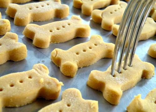 Biscuits pour chiens à la citrouille de Cleo | Photo de Cleo