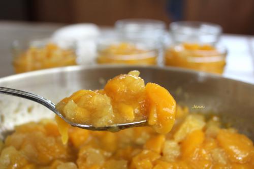 Compote de mangue et ananas de Nell | Photo de Nell