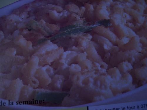 Macaroni au ricotta - pol martin de Callyoe | Photo de Callyoe