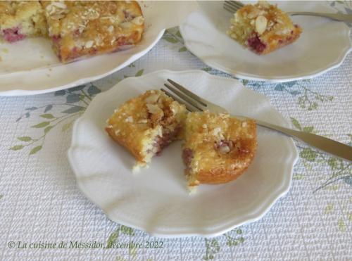 Carrés framboises au chocolat blanc, bis + de Messidor | Photo de Messidor