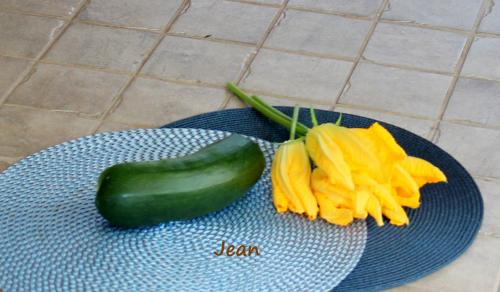 Fleur de courgette, cuisiner/cultiver de Nell | Photo de Nell