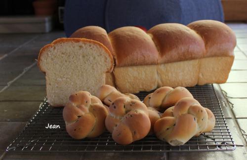 Pain à la crème sure et à la ciboulette pour machine de sélène | Photo de Nell