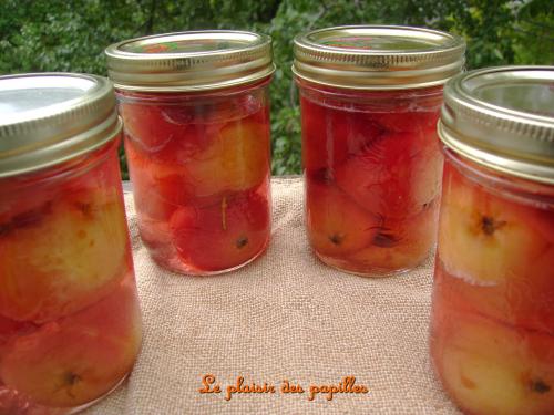 ~pommettes dans le sirop~ de Choupy40 | Photo de Choupy40