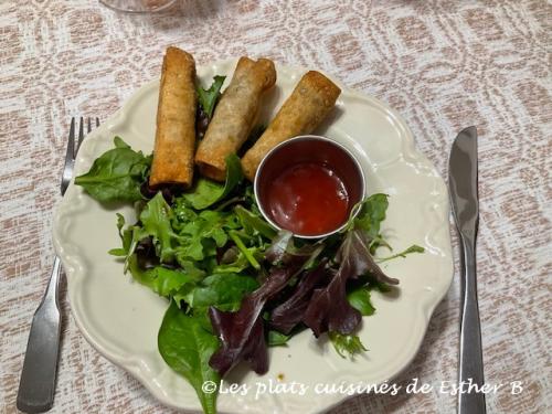 Rouleaux de won ton frits de Estherb | Photo de Estherb