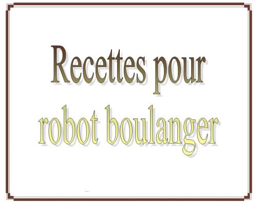 ** le beau livre de recettes pour pain robot boulanger à télécharger de Selene | Photo de PassionRecettes