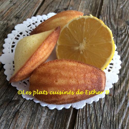 Madeleines au citron de Esther B | Photo de Estherb