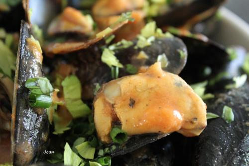 Moules à la sauce rosée de Nell | Photo de Nell