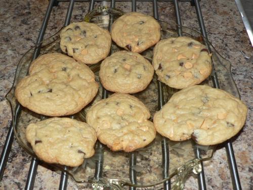 Biscuits au chocolat de marc de Baddy | Photo de Baddy