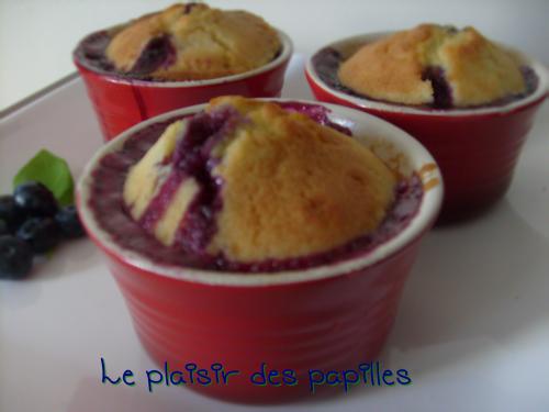 ~gâteaux-pouding aux bleuets~ de Choupy40 | Photo de Choupy40