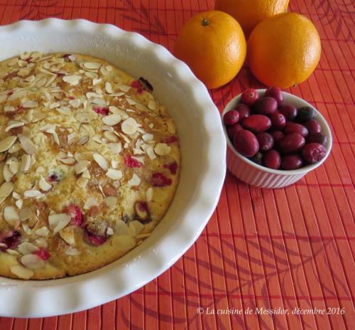 Fausse tarte choco-canneberges + de Messidor | Photo de Messidor