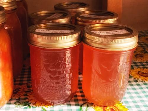 Gelée de pomme à l'extracteur à jus et à l'instant pot de Mireille | Photo de Mireille